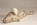 la sieste veau marin petit grès céramique sculpture animalière olivia tregaut