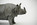 bronze, sculpture de rhinocéros, rhinocéros unicorne de l'inde