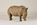 sculpture de rhinoceros, rhinocéros blanc, bébé rhinocéros, le jardin d'Eden, sculpture, rhinocéros en bronze, sculpture de rhinocéros, bronze, Olivia Tregaut Sculpture 