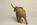 insouciance, éléphant, éléphanteau, éléphant d'Afrique, sculpture, bronze, art animalier, sculpture animaliere, Olivia Tregaut Sculpture