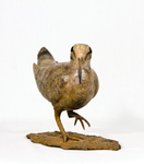 sculpture de bécasse des bois, sculpture d'oiseau en bronze, sculpture animalière, Bronze, oiseaux, Olivia Tregaut sculpture