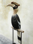 sculpture de calao bicorne, sculpture d'oiseau, sculpture animalière Olivia Tregaut