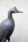 sculpture de cormoran huppé, cormoran huppé, oiseau, céramique, olivia tregaut sculpture  animalière